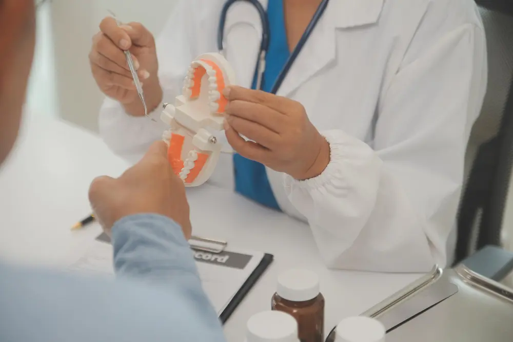 a doctor showing a model of a human jaw