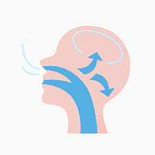 An illustration shows a simplified sagittal view of a head, depicting nasal breathing. Blue arrows indicate the airflow entering through the nose, passing through the nasal passages, and down towards the throat. This image highlights the proper way of breathing, which can positively influence oral and facial development. Limestone Hills Orthodontics in Austin, TX, emphasizes the importance of healthy oral habits, including nasal breathing.